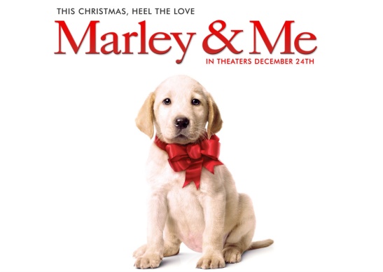 Marley-And-Me-Dog